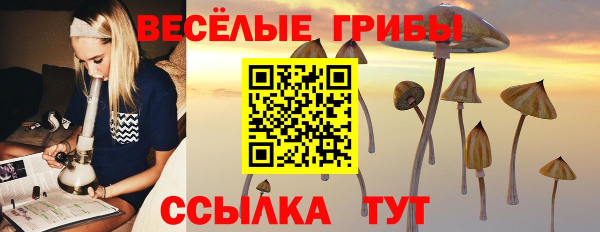 Псилоцибиновые грибы мухоморы Кизилюрт